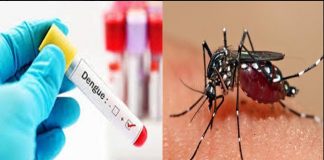 ৫০০ টাকায় ডেঙ্গু পরীক্ষার নির্দেশ