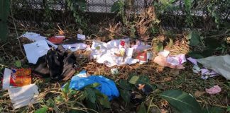 রাস্তা থেকে তুলে নিয়ে ঢাবি ছাত্রীকে গণধর্ষণ