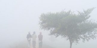 সারাদেশে বাড়বে শীত, কমবে তাপমাত্রা