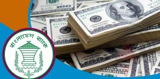 ব্যয়যোগ্য রিজার্ভ কমে ১৩.২২ বিলিয়ন ডলার