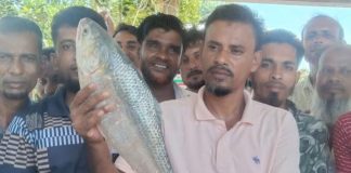 মেঘনার আরেক ইলিশ ৭৭০০ টাকায় বিক্রি