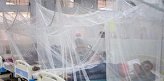 ডেঙ্গুতে এক দিনে সর্বোচ্চ ৮ মৃত্যু