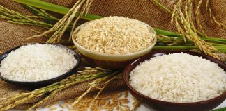 এবার ১০ লাখ টন ধান-চাল সংগ্রহ করবে সরকার