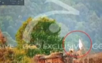 সীমান্তে ‘সাদা পতাকা’ উড়িয়েছে ভারতীয় সেনাবাহিনী, দাবি পাকিস্তানের