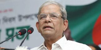 আওয়ামী লীগ যা বলতো, তাই আইনে পরিণত হতো : মির্জা ফখরুল
