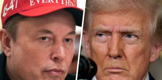 ‘রাজনৈতিক আত্মহত্যা’: ফের ট্রাম্পের সমালোচনায় ইলন মাস্ক
