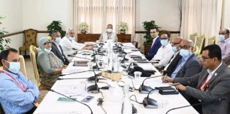 সরকারি সব ভবনে সোলার প্যানেল স্থাপনের নির্দেশ প্রধান উপদেষ্টার
