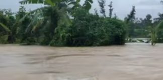 তীব্র স্রোতে ডুবছে সব, ফেনীতে বন্যাতঙ্কে