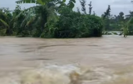 Flood