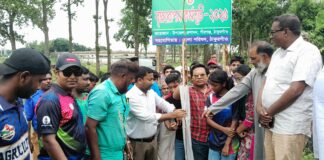 পীরগঞ্জে সড়কে কৃষ্ণচুড়ার চারা রোপন কর্মসূচী উদ্বোধন