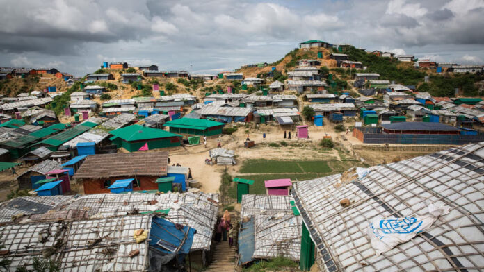 rohingha