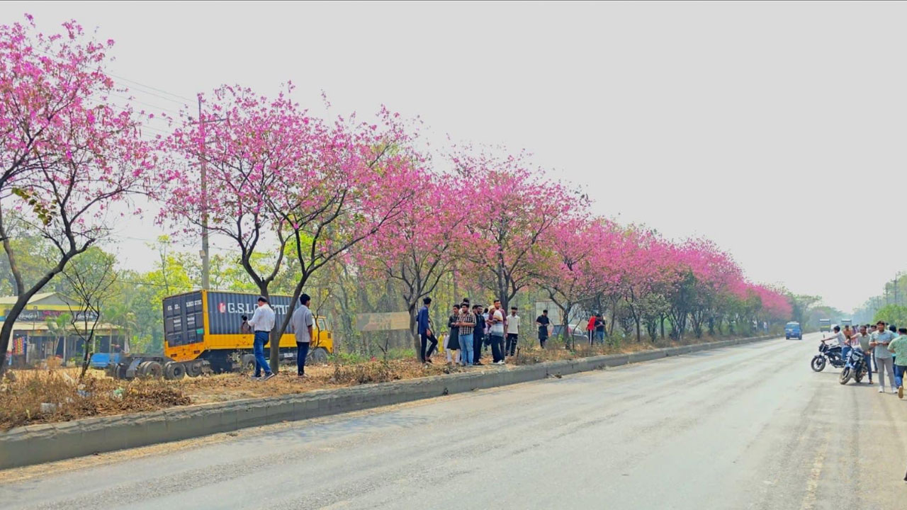 মহাসড়কে টিকটক ভিডিও ঠেকাতে পুলিশের টহল জোরদার