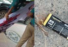 ধানমন্ডিতে আ.লীগের মিছিল-ককটেল বিস্ফোরণ