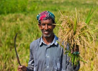 চাঙ্গা হচ্ছে গ্রামীণ অর্থনীতি