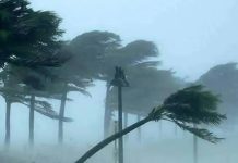 রাতের মধ্যে ১২ জেলায় ঝড়ের আভাস